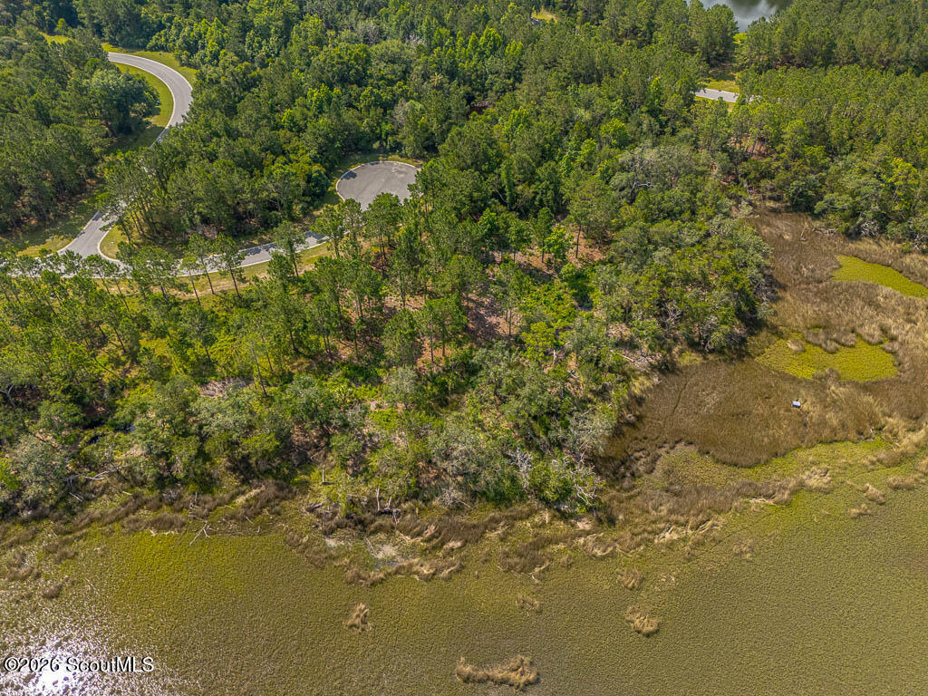 Lot 98 Wards Way Waverly, GA 31565 - Photo 11 of 20