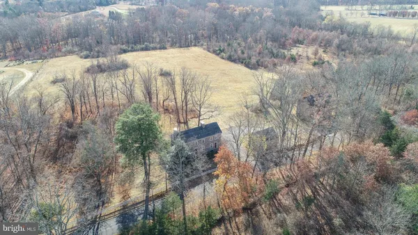 a view of backyard and tree