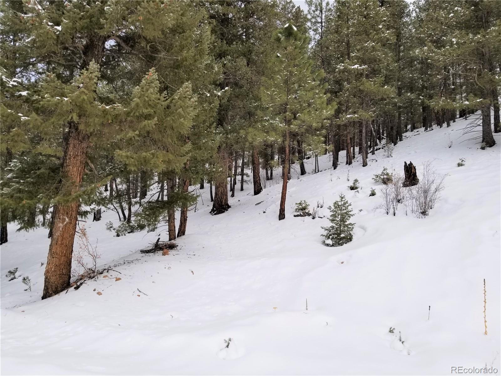 28482 Crystal Ridge Road Pine, CO 80470 - Photo 1 of 4 Gallery Image 1