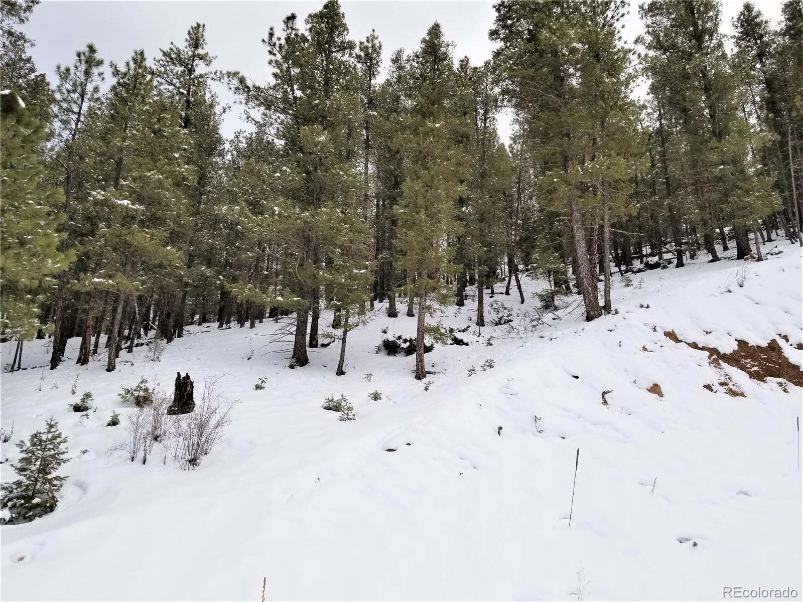 28482 Crystal Ridge Road Pine, CO 80470 - Photo 2 of 4 Gallery Image 2