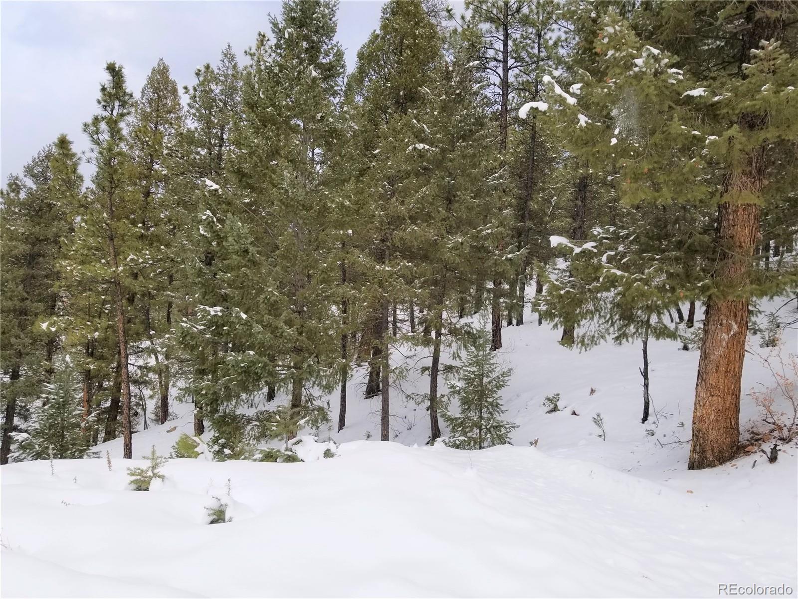 28482 Crystal Ridge Road Pine, CO 80470 - Photo 3 of 4 Gallery Image 3