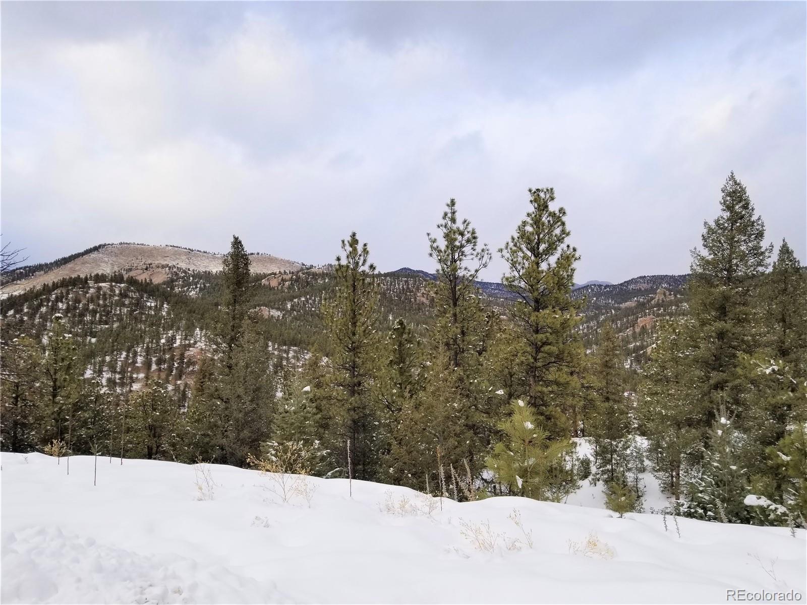 28482 Crystal Ridge Road Pine, CO 80470 - Photo 4 of 4 Gallery Image 4