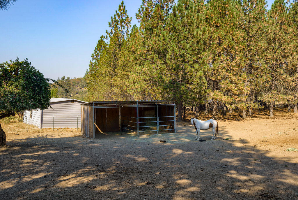 4716 Kane Creek Road Central Point, OR 97502 - Photo 31 of 42 KCR(19)