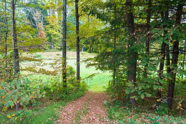 a view of a yard with plants and trees