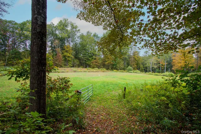 a view of a garden with a tree