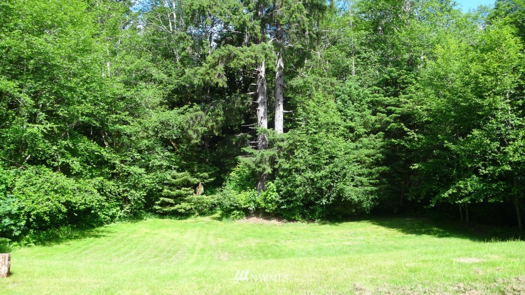 535 3 Rivers Road Forks, WA 98331 - Photo 22 of 25 Gallery Image 22