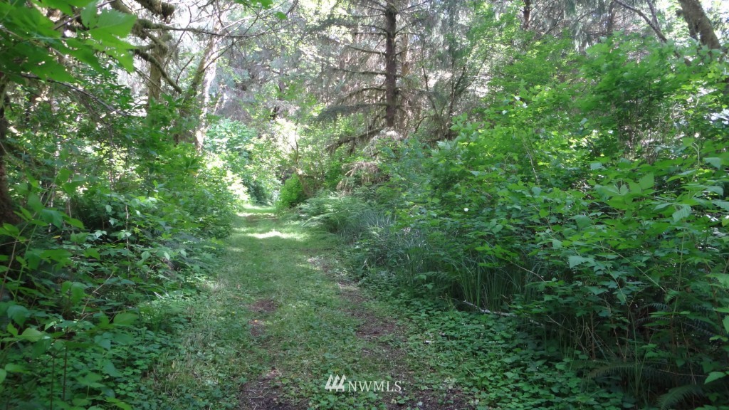 535 3 Rivers Road Forks, WA 98331 - Photo 23 of 25 Gallery Image 23