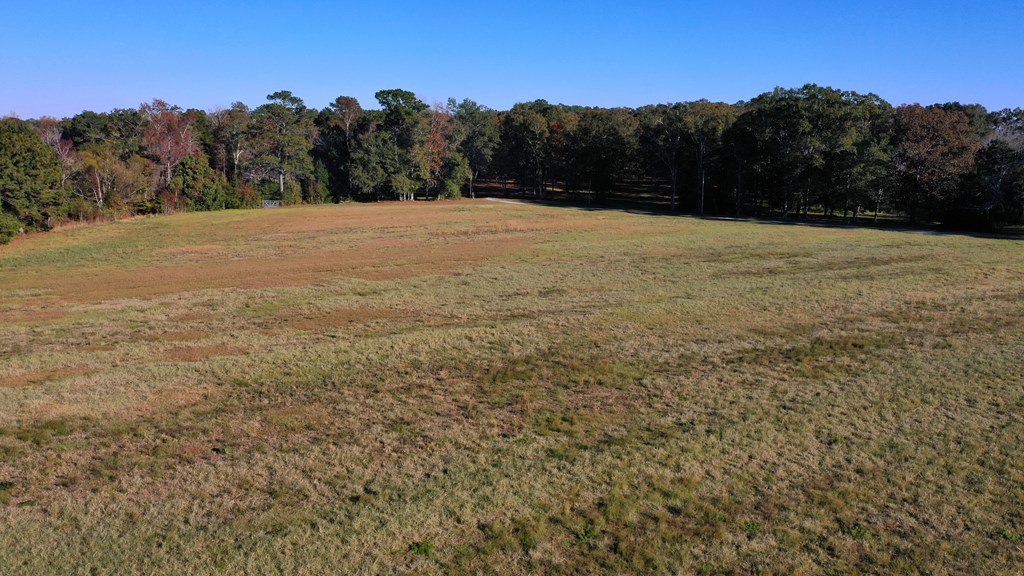 2923 Hodgesville Road Dothan, AL 36301 - Photo 17 of 49