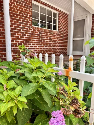 a bathroom with a sink a mirror and flowers