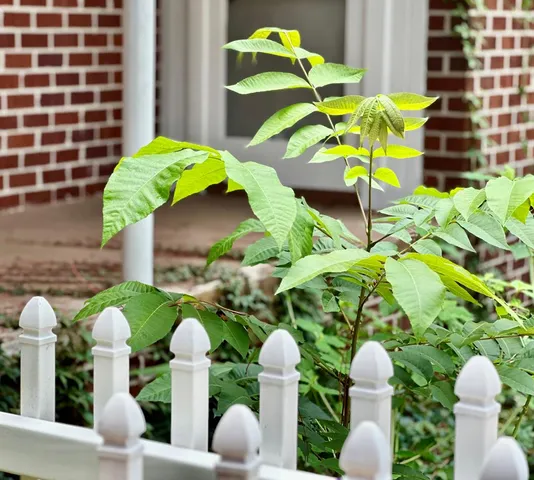 a vase of flowers with white and blue walls