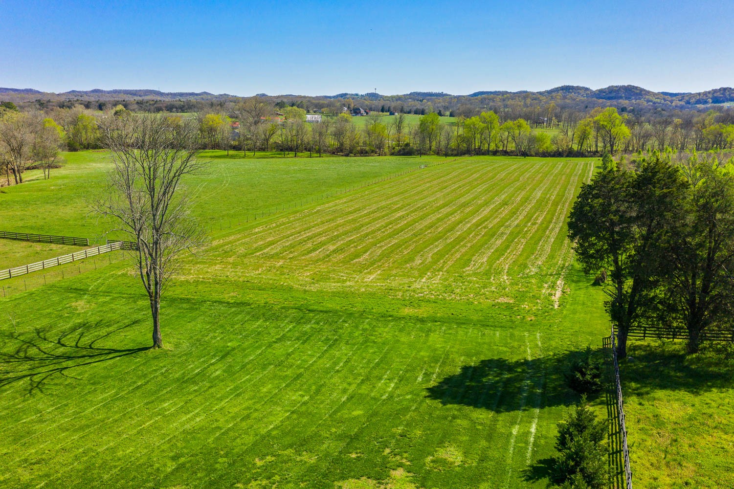 4553 South Carothers Road Franklin, TN 37064 - Photo 43 of 50 Gallery Image 43