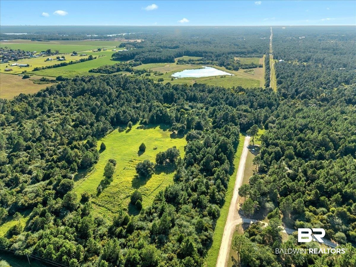 0 Stucki Road Elberta, AL 36530 - Photo 10 of 15 Bird's eye view of a forest