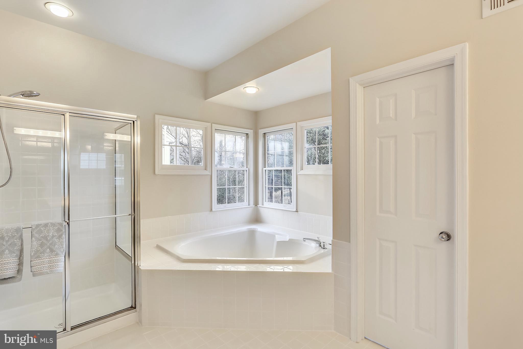 11402 Night Star Way Reston, VA 20194 - Photo 18 of 30 Master Bdrm with sep soaking tub and shower