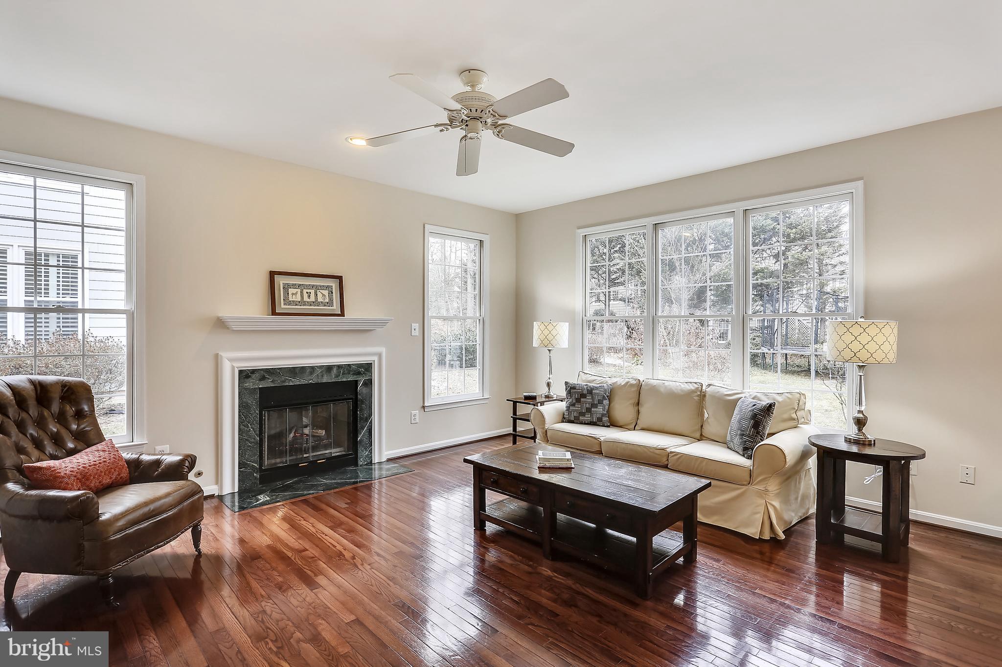 11402 Night Star Way Reston, VA 20194 - Photo 9 of 30 Family Room with gas fireplace
