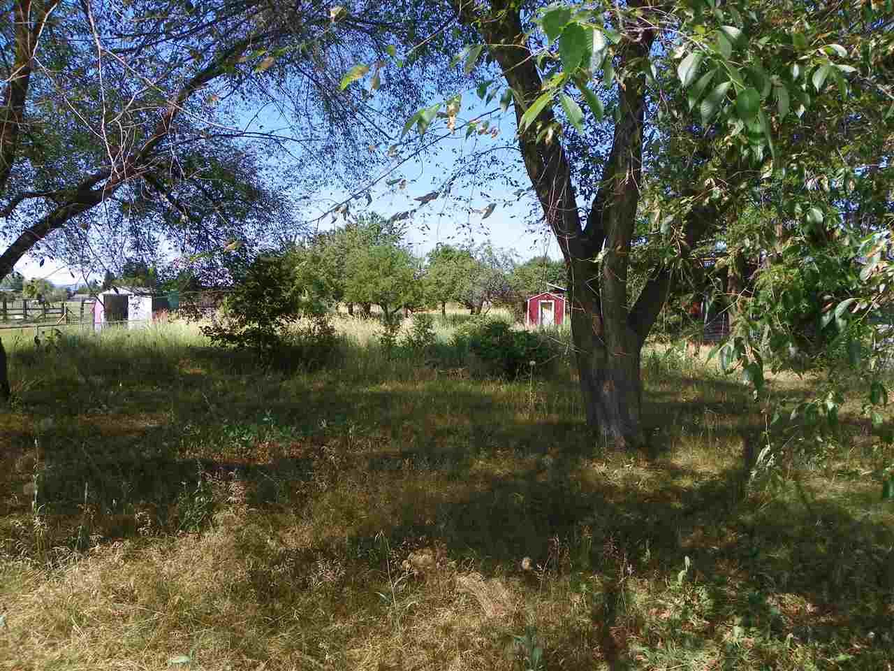 4423 North Harvard Road Otis Orchards, WA 99027 - Photo 19 of 20 Gallery Image 19