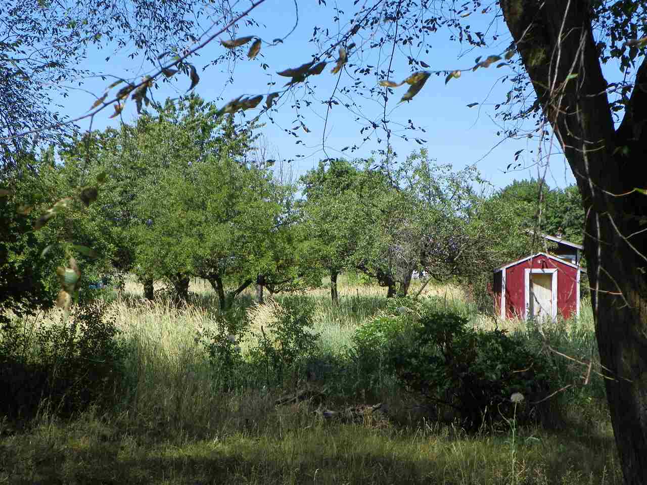 4423 North Harvard Road Otis Orchards, WA 99027 - Photo 20 of 20 Gallery Image 20