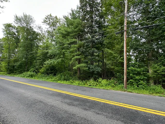 a view of a green field with plants