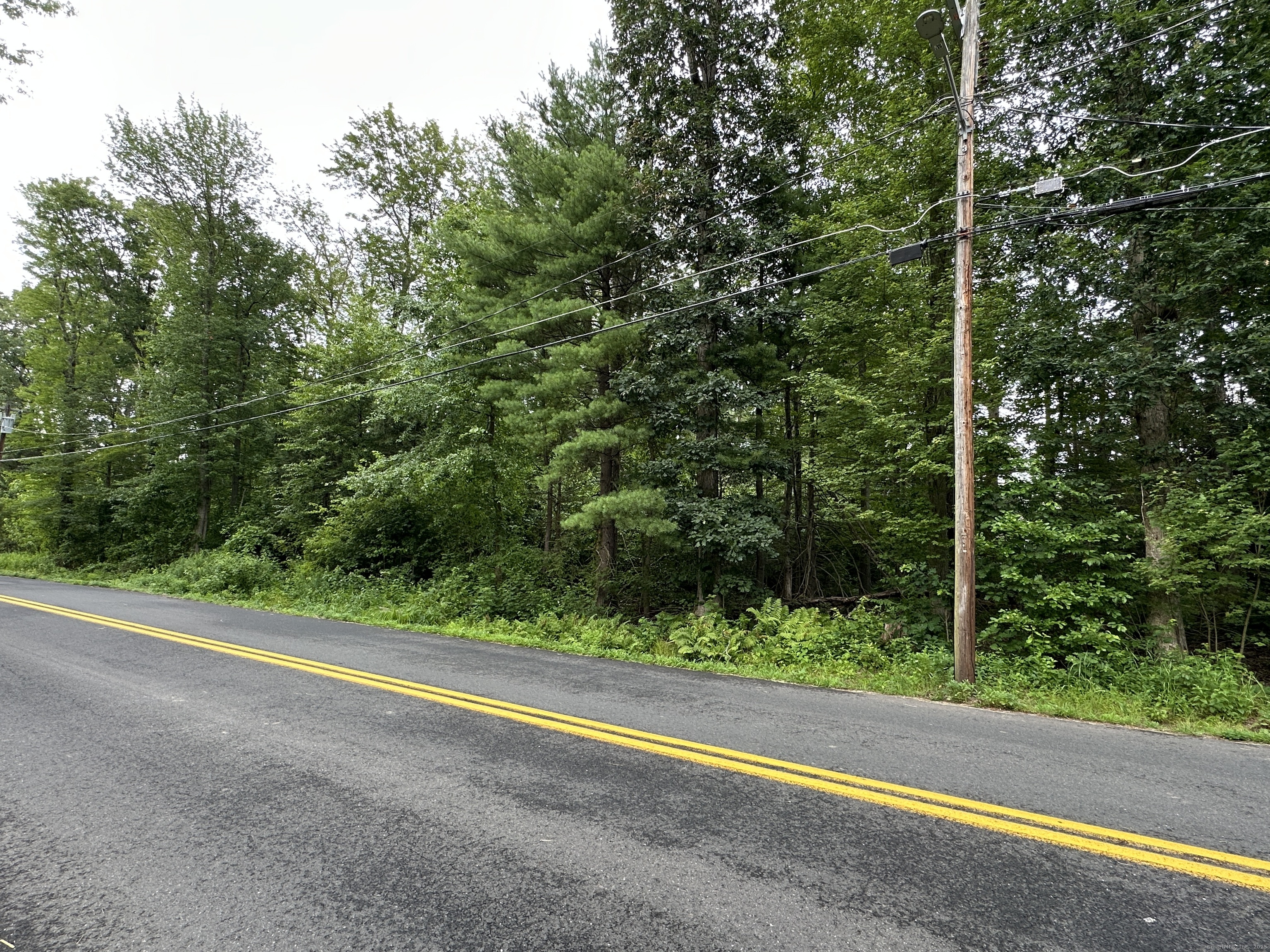 a view of a green field with plants