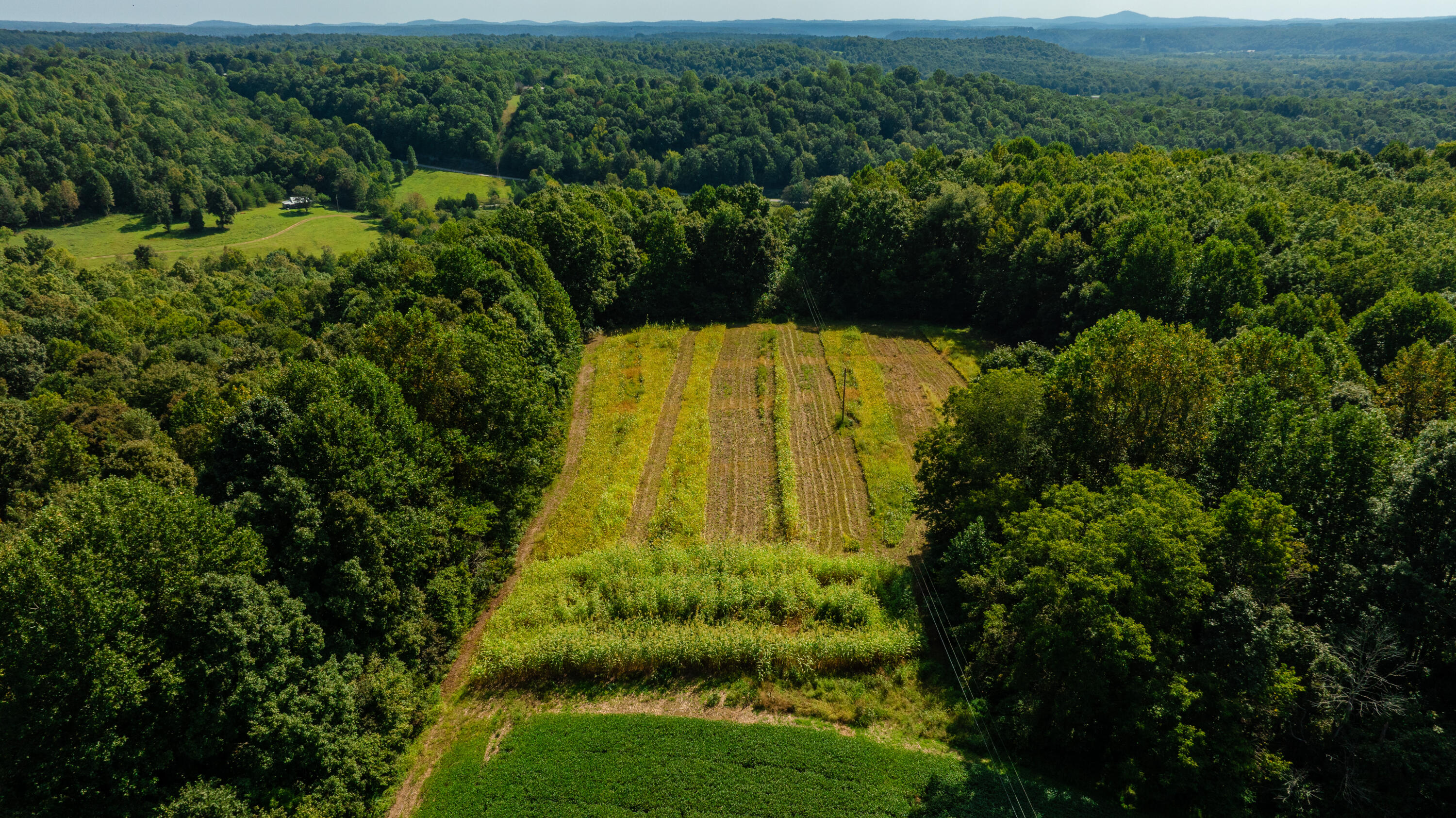 0 Hwy 206 / Ewing Ridge Road Dunnville, KY 42528 - Photo 6 of 23 Robertson-Holt Property (8 of 59)
