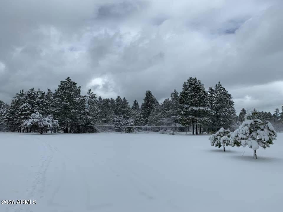 1884 Artist Draw Road Heber, AZ 85928 - Photo 11 of 17 IMG_6987