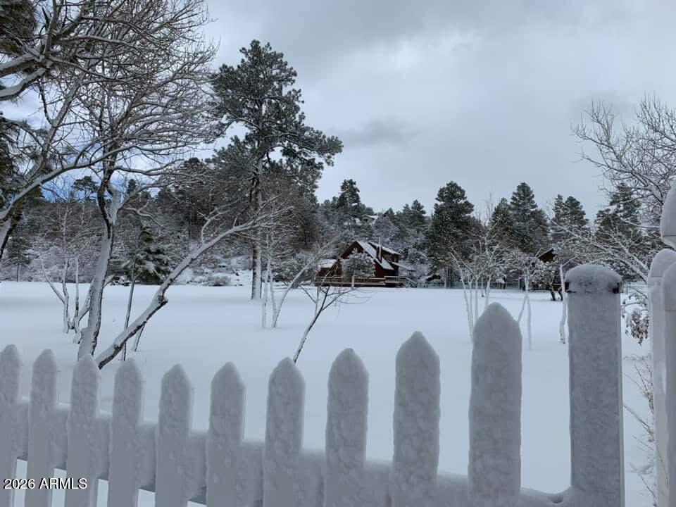 1884 Artist Draw Road Heber, AZ 85928 - Photo 12 of 17 IMG_6988