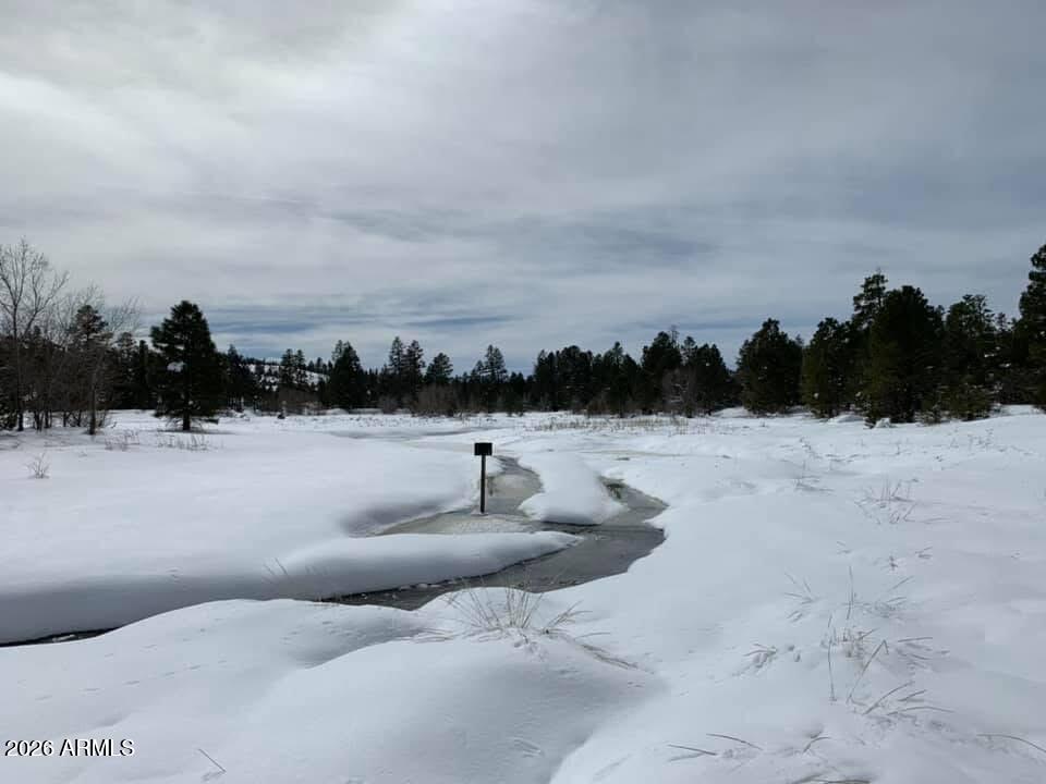 1884 Artist Draw Road Heber, AZ 85928 - Photo 13 of 17 IMG_6994