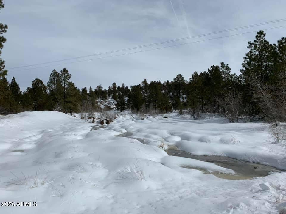 1884 Artist Draw Road Heber, AZ 85928 - Photo 14 of 17 IMG_6995