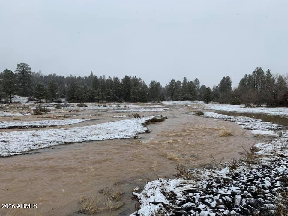 1884 Artist Draw Road Heber, AZ 85928 - Photo 15 of 17 IMG_6997