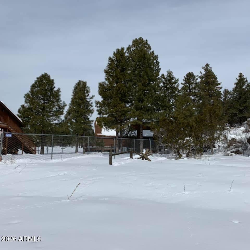 1884 Artist Draw Road Heber, AZ 85928 - Photo 8 of 17 IMG_6996