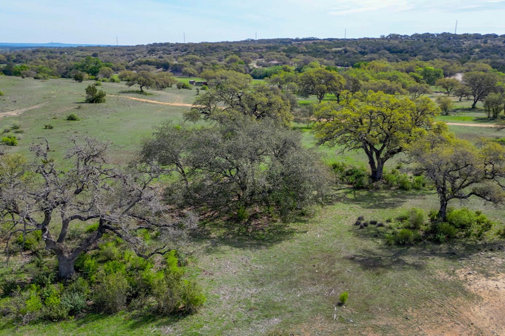 Lot 13 Stanton Road, Unit 13 Johnson City, TX 78636 - Photo 2 of 32 Gallery Image 2