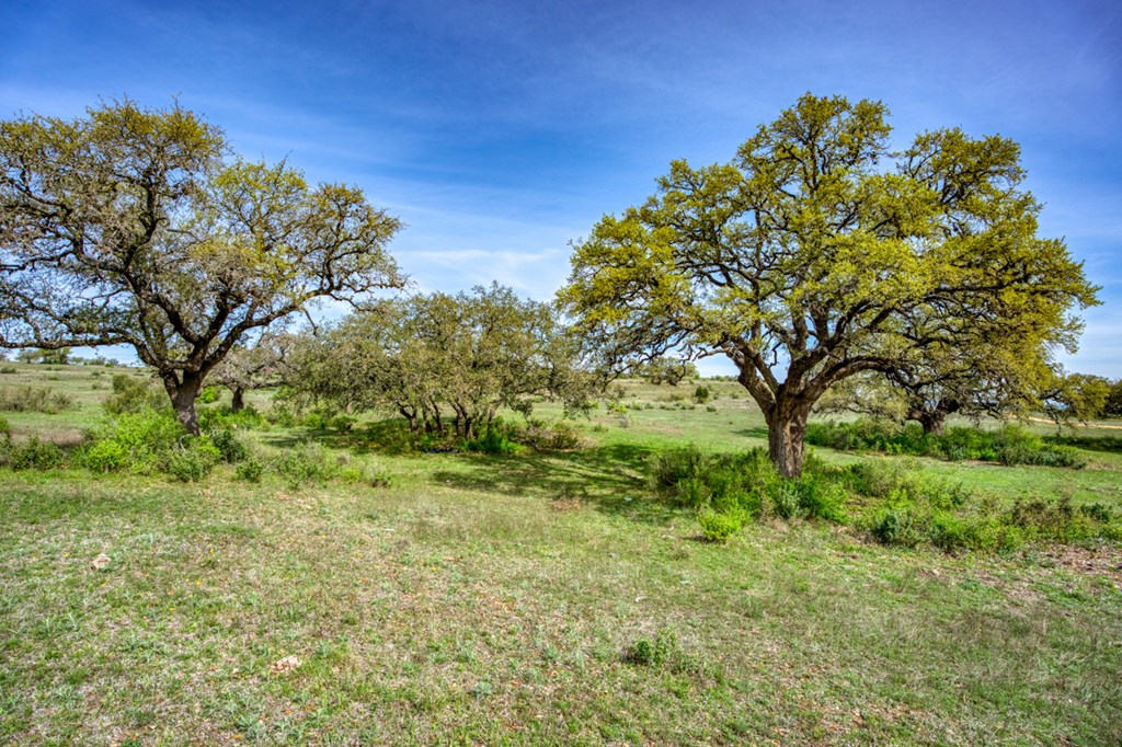 Lot 13 Stanton Road, Unit 13 Johnson City, TX 78636 - Photo 5 of 32 Gallery Image 5