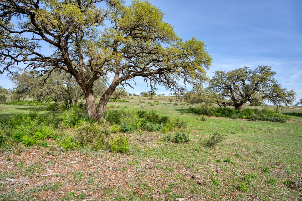 Lot 13 Stanton Road, Unit 13 Johnson City, TX 78636 - Photo 6 of 32 Gallery Image 6
