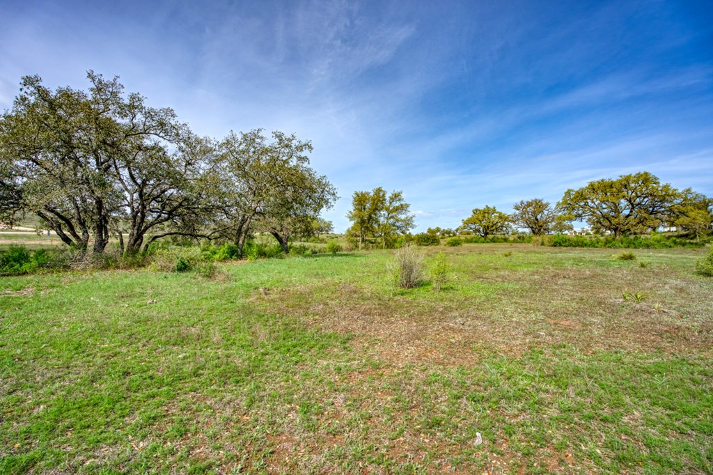 Lot 13 Stanton Road, Unit 13 Johnson City, TX 78636 - Photo 10 of 32 Gallery Image 10