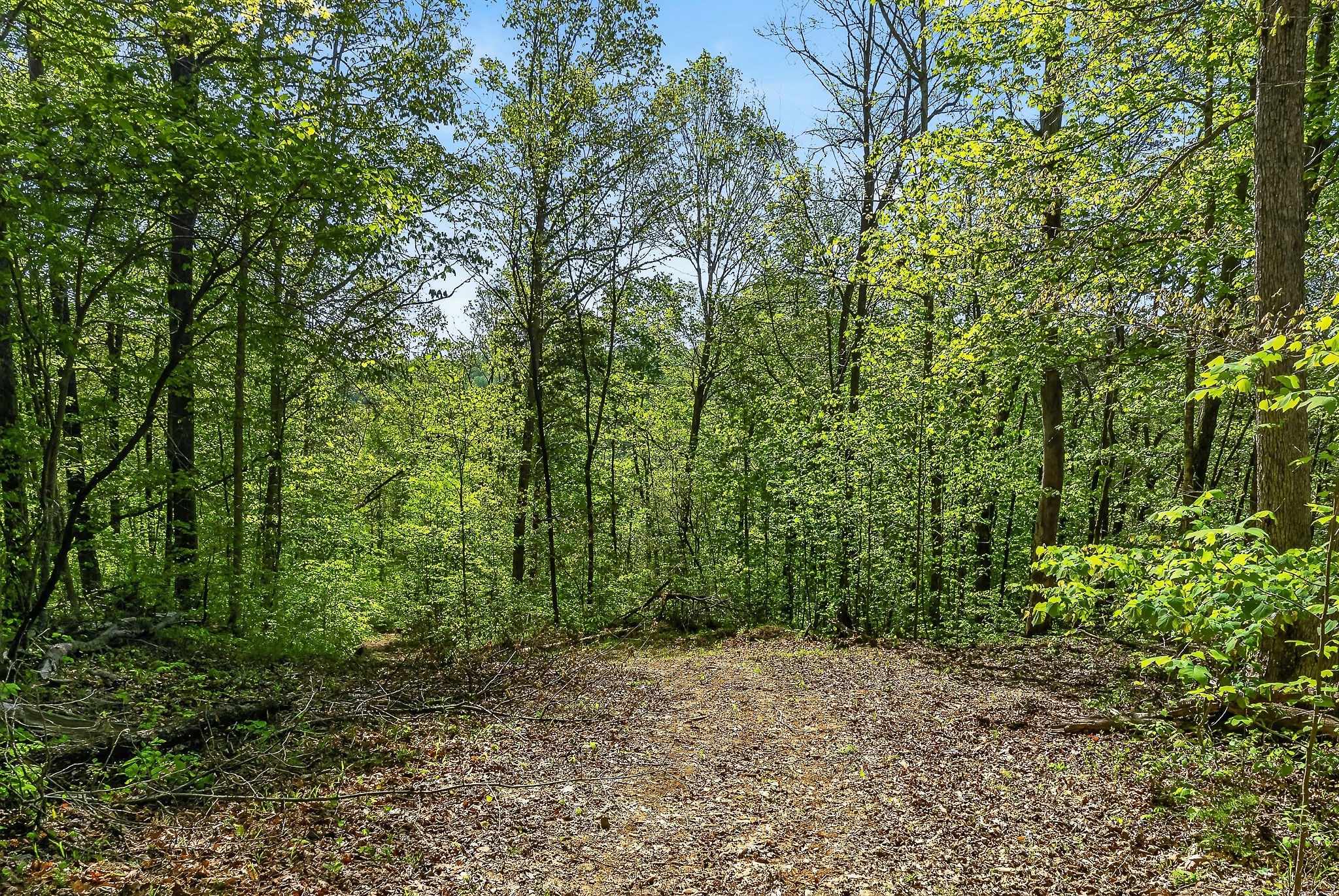 0 Board Valley Road Sparta, TN 38583 - Photo 35 of 85 Gallery Image 35