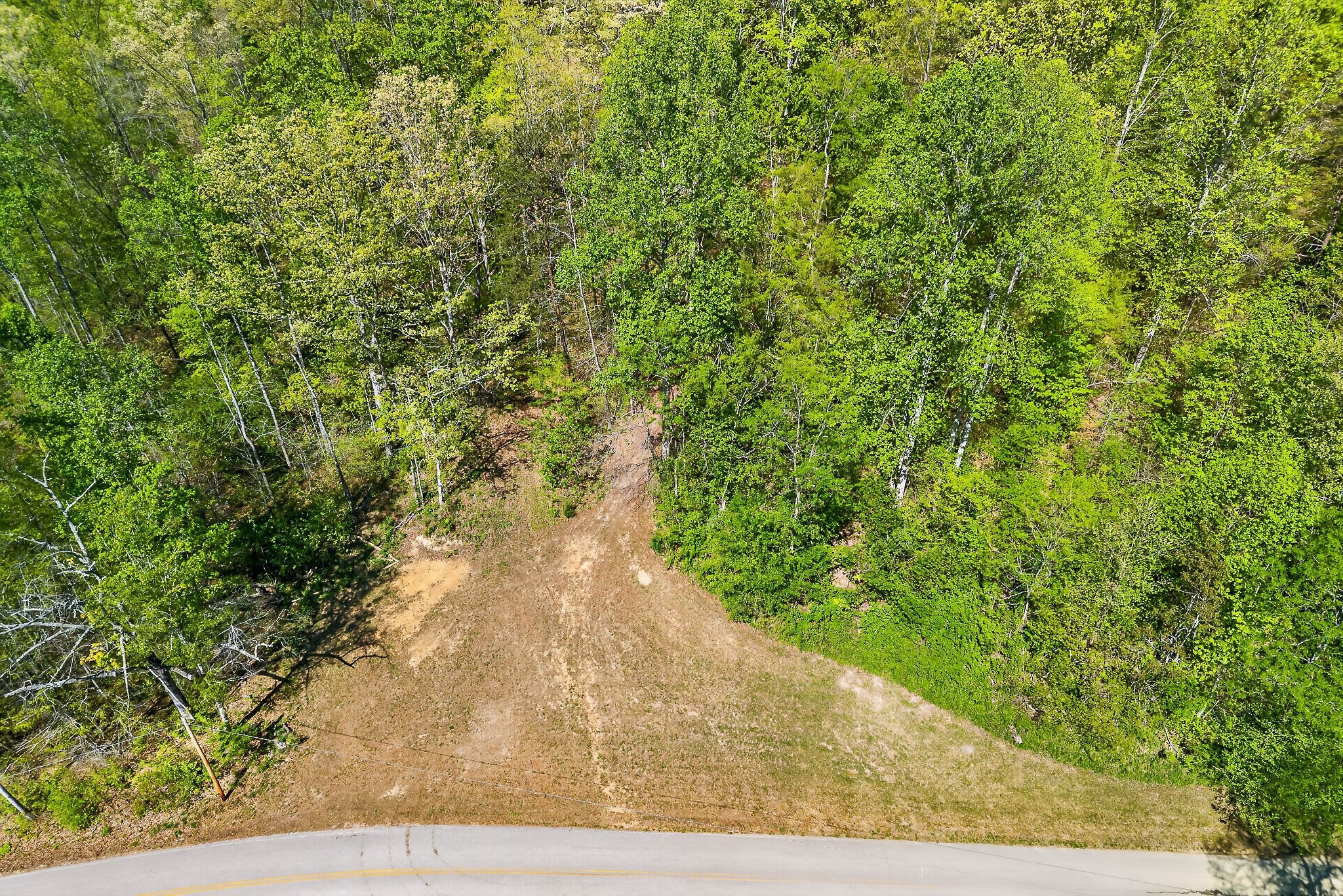 0 Board Valley Road Sparta, TN 38583 - Photo 6 of 85 Gallery Image 6
