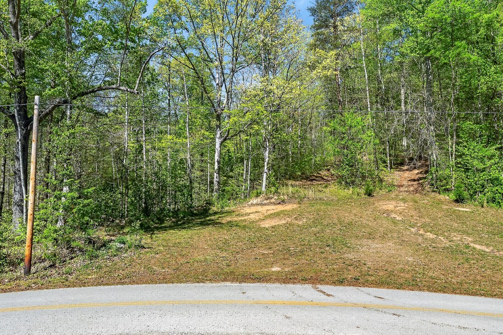 0 Board Valley Road Sparta, TN 38583 - Photo 72 of 85 Gallery Image 72