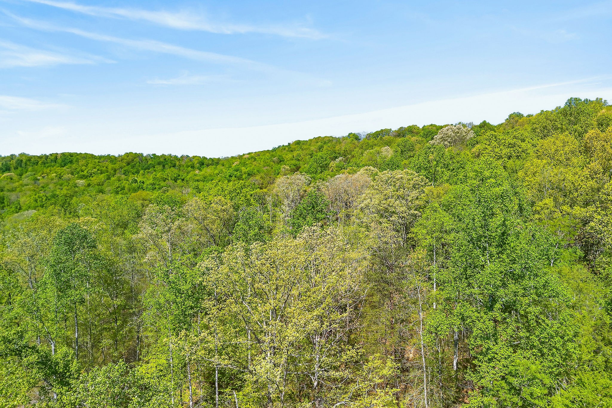 0 Board Valley Road Sparta, TN 38583 - Photo 8 of 85 Gallery Image 8