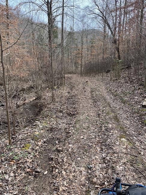 0 Board Valley Road Sparta, TN 38583 - Photo 83 of 85 Gallery Image 83