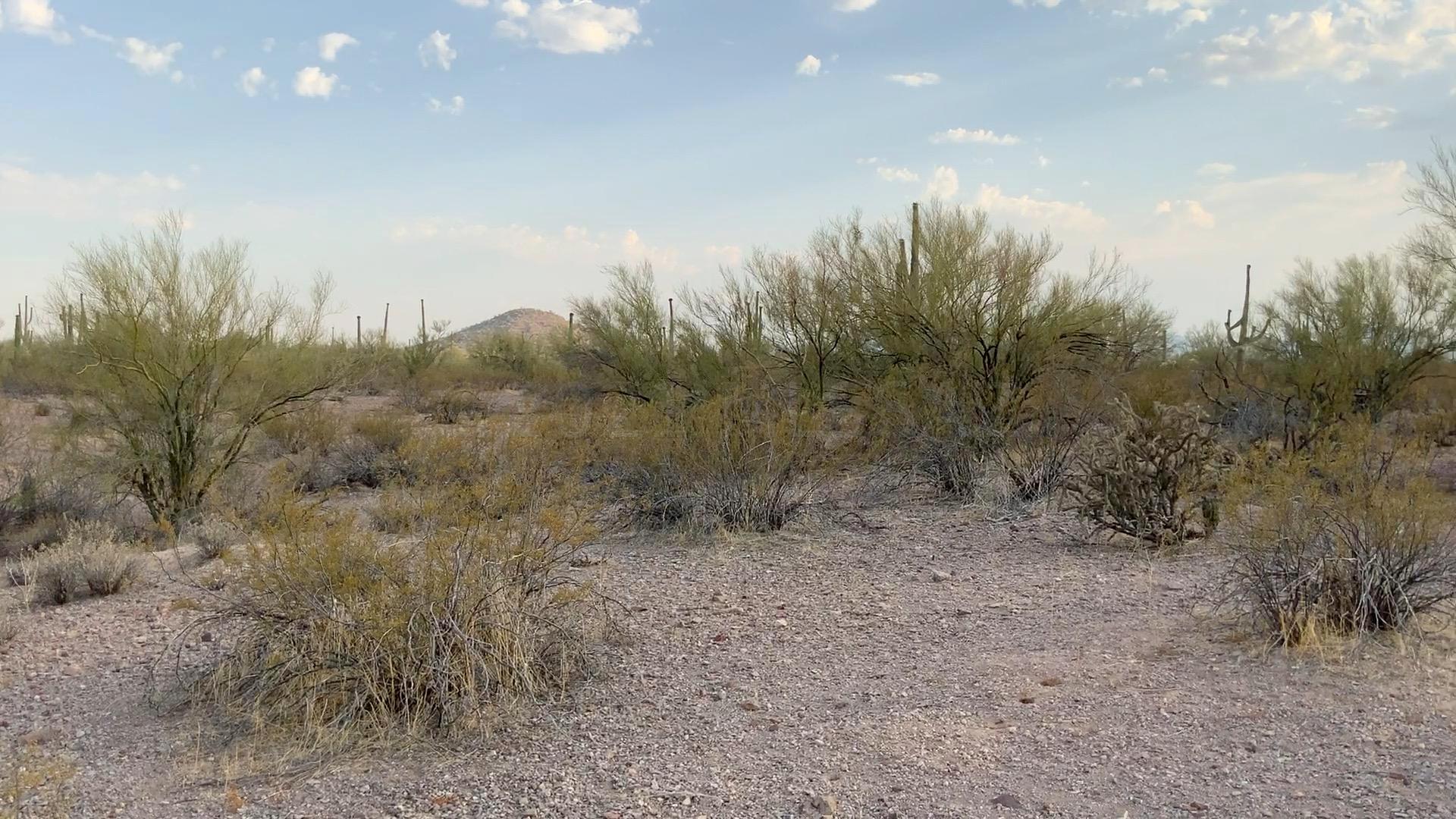 0 West Silverbell Road Marana, AZ 85653 - Photo 4 of 7