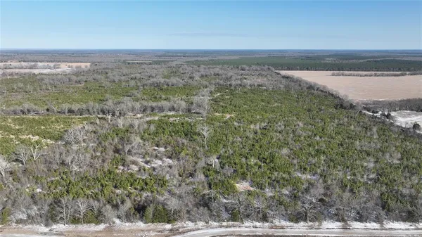 a view of a yard with an outdoor space