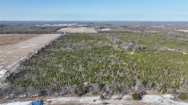a view of a yard with an outdoor space