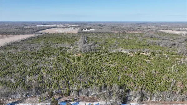 a view of a field with trees in the background