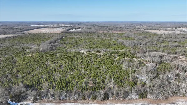 a view of a yard with an trees