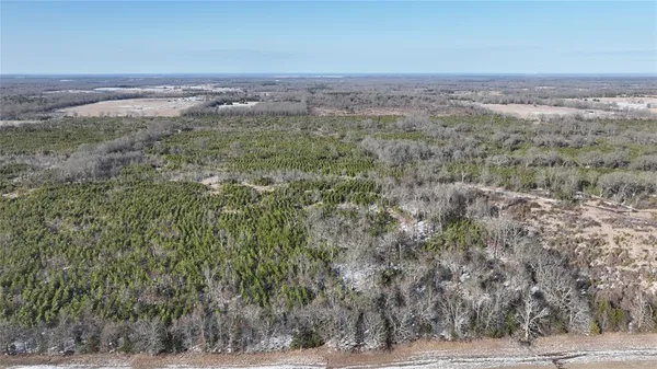 a view of a yard with a mountain