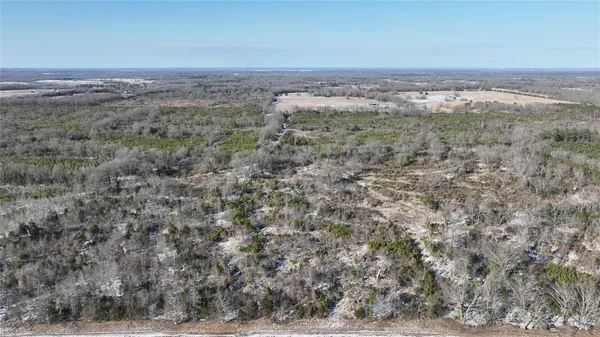 a view of a big yard with lots of trees