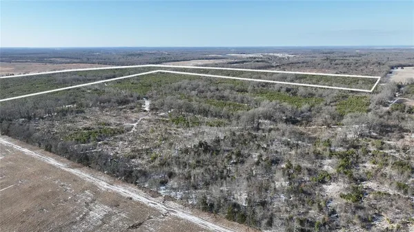 a view of a dry yard with wooden fence