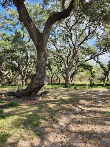 a view of a small house with a tree in the yard