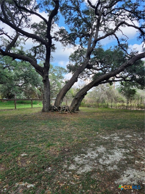 96 Reeves Ranch Road Victoria, TX 77905 - Photo 4 of 16 a view of a tree in a yard