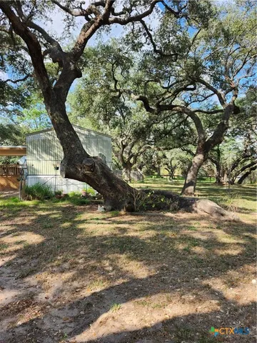 a view of a yard with a tree