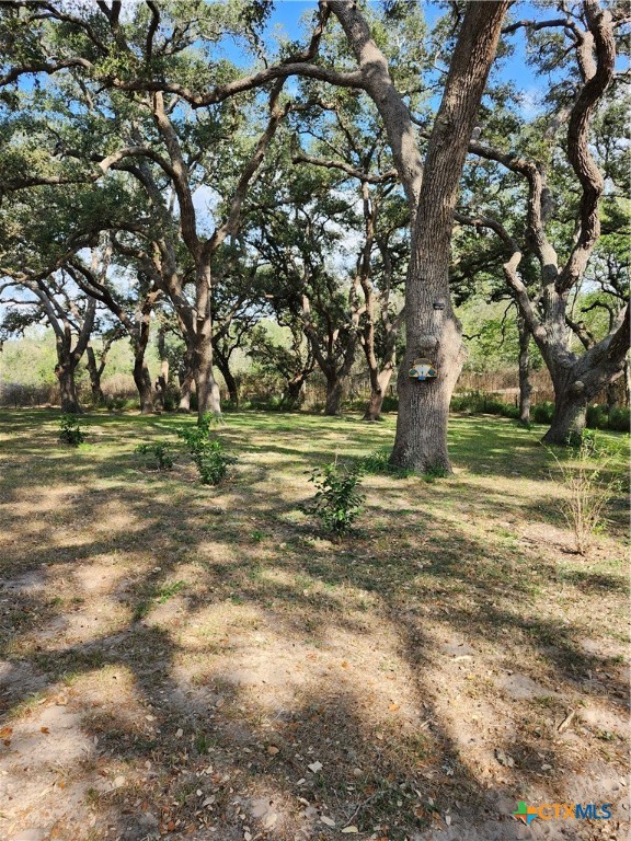 96 Reeves Ranch Road Victoria, TX 77905 - Photo 9 of 16 a view of a field with a tree